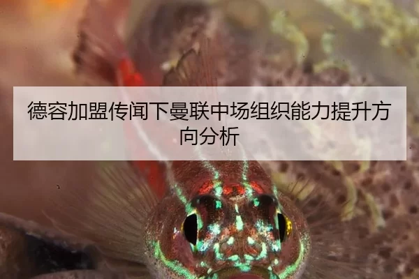 de-rong-jia-meng-chuan-wen-xia-man-lian-zhong-chang-zu-zhi-neng-li-ti-sheng-fang-xiang-fen-xi-2-340.jpg