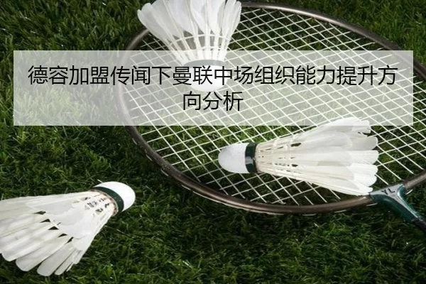 de-rong-jia-meng-chuan-wen-xia-man-lian-zhong-chang-zu-zhi-neng-li-ti-sheng-fang-xiang-fen-xi-3-429.jpg